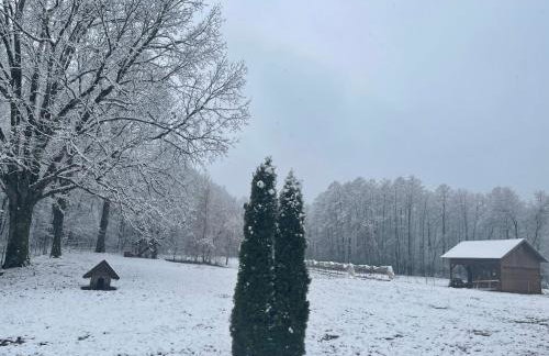 Ranch Falcone - Foto 43