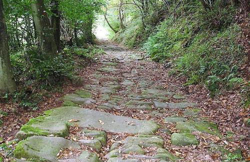 Apartamento Estelas de Cantabria - Foto 20