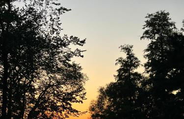 Guesthouse with 3 apartments, just outside Berlin, near to Tesla - Foto 24