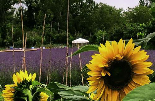 AGRITURISMO TERRAPIA - Foto 46