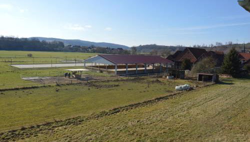 Mellys Café & Store - Foto 4