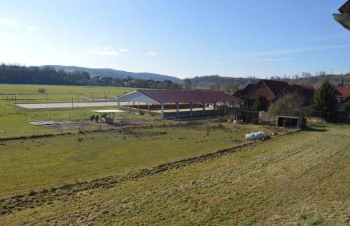 Mellys Café & Store - Foto 4