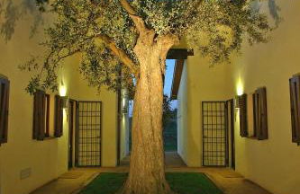 Il casale degli olivi - Foto 21