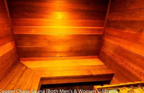 President Studio Pool-Spa Ski-in out Gym, Sauna, Laundry, BBQ - Photo 61