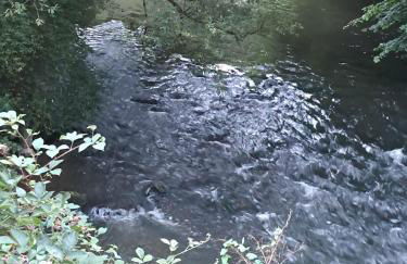 apartment, gite by the canal l Est,river Coney vosges france - Foto 29