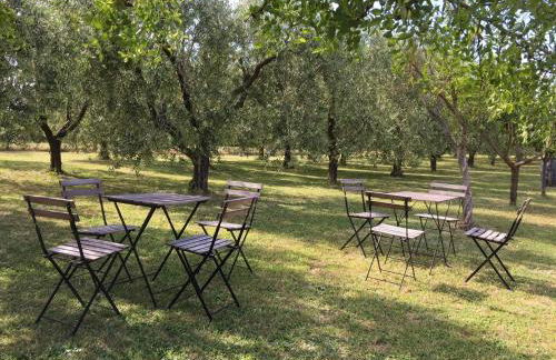 CASALE ANTICO SOBBORGO - Foto 14