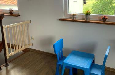 Mazurski dom Brejdyny Sauna i Bania - Foto 25