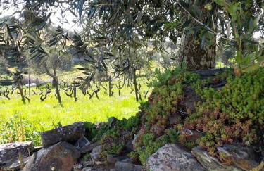 O Ze Ja Dormiu Aqui - Photo 58