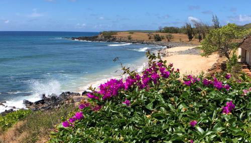 High-End Resort Condo Nestled on Molokai Shoreline - Foto 2