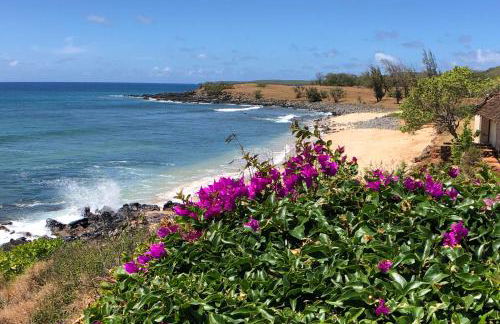 High-End Resort Condo Nestled on Molokai Shoreline - Foto 2