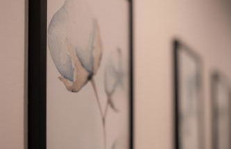 Allgäu Retreat - Foto 19