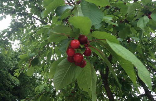 Borgo Buciardella - Foto 21