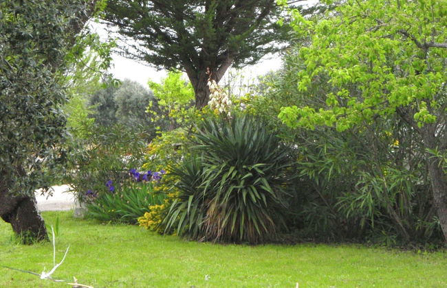 Typical Trullo with Conical Roof in Excellent Area near Sea - Foto 12