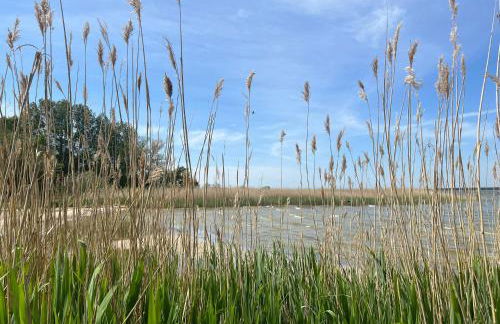 5 Sterne Ferienhaus Ostseetraum - 50m zum Strand - Ladestation für E-Auto - Foto 24