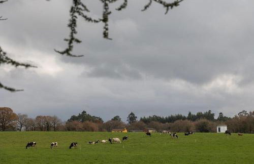 Casa A Curiscada - Foto 72