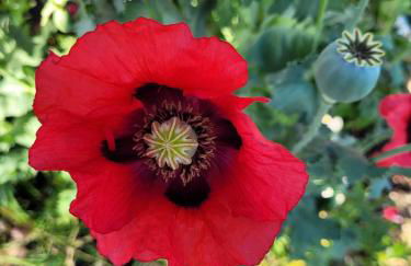 Ferienwohnung bei Helga - Foto 15