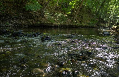 Thalmühle - Foto 23