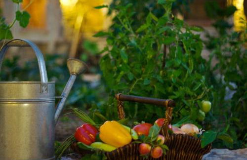 Eleni's Stately Home, picturesque location, By ThinkVilla - Photo 20