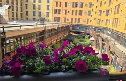 Nel Sole Business - Photo 11