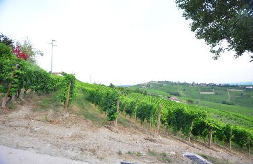 I Grappoli - Foto 27