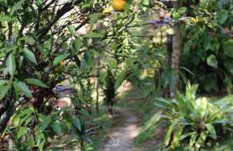 Solar Mirandela - Foto 36