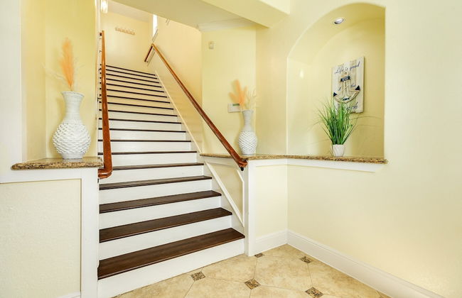 Twist of Lime - Foto 31