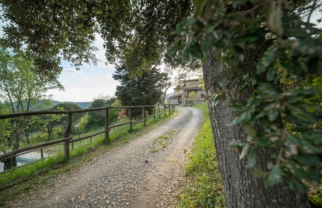 Fattoria di Cintoia - Photo 67