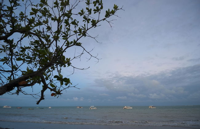 Chocolate com Pimenta Edifício - Foto 68