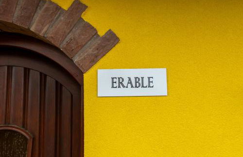 LES GRANGES DE JADIS ALSACE Bis - Foto 78