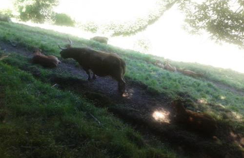 Casa Gloria - Foto 41