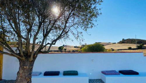 Casa na horta, planície alentejana - Foto 5