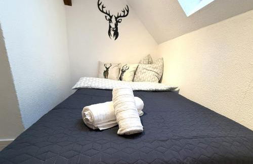 Natur-Apartment am Großen Arber Netflix WIFI - Foto 54