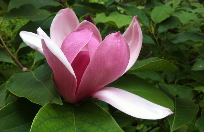 Cozy House - Photo 56