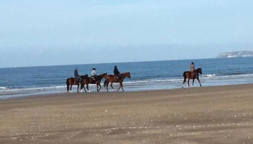 Appartement 2 pièces sur plage - Photo 4