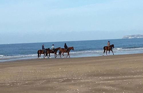 Appartement 2 pièces sur plage - Photo 4