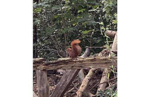 Holiday home with 2 bedrooms - Foto 22