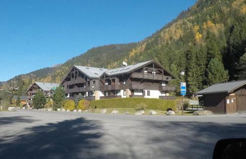 cimes d'or - Photo 4