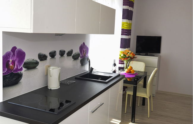 Apartamenty Sun&Snow Karpacz Sucha - Photo 11