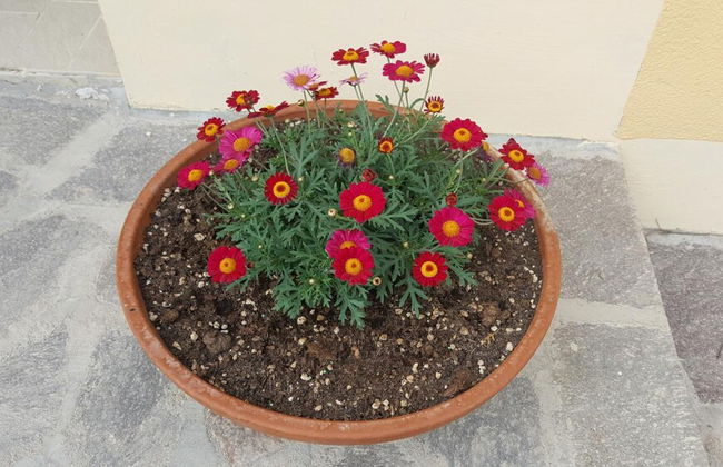 Agriturismo Podere Casa al Vento - Photo 33