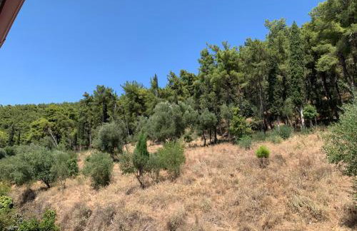 Danai luxury apartment - Foto 55