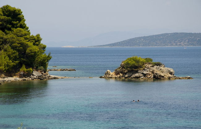 Flower Houses - Foto 35