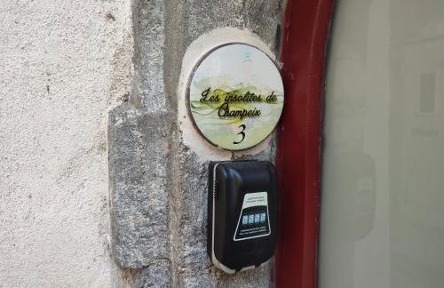 Les insolites de Champeix - Photo 43