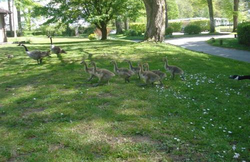 Detached Bungalow in North Cornwall - Foto 14