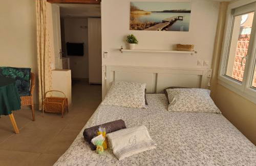 Petite étoile de Mer - Studio hyper équipé à 150m d'une plage de sable fin grande terrasse presqu'île de charme - Photo 11