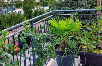 Bella Arte Dubrovnik - Photo 21