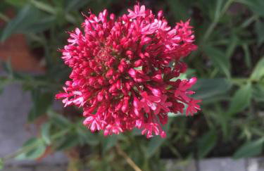 Apartments Petra - Photo 78