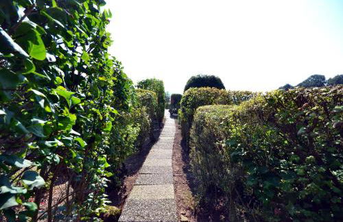 Ferienapartment "Wolke" - Foto 25