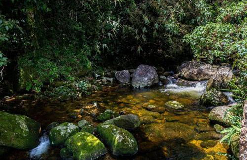 CurtaTere piscina lareira pet friendly jardim - Foto 65
