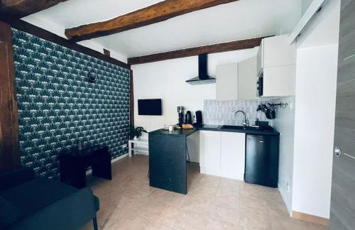 Charmant studio dans le vignoble proche Strasbourg - Foto 1