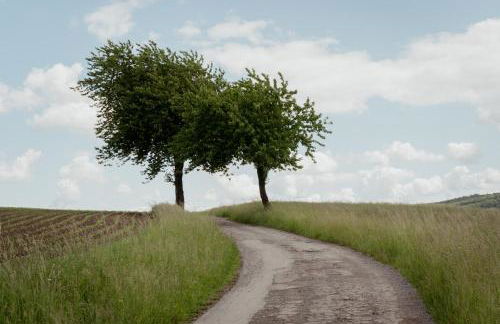 Idyllische Ferienwohnung im Kalletal - Photo 28